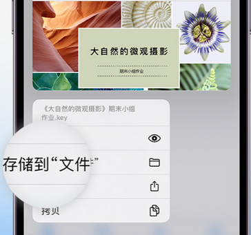 方山apple维修中心分享iPhone文件应用中存储和找到下载文件