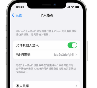 方山apple服务站点分享iPhone上个人热点丢失了怎么办 