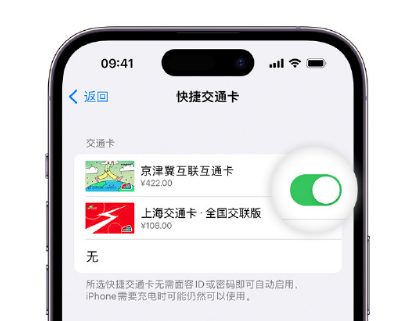 方山apple维修点分享iPhone上更换Apple Pay快捷交通卡手绘卡面 