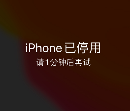 方山苹果手机维修分享:iPhone 显示“不可用”或“已停用”怎么办？还能保留数据吗？ 