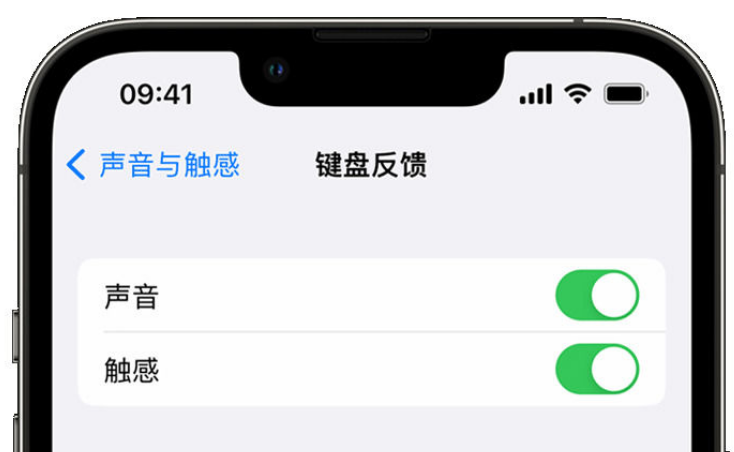 方山苹果手机维修分享iPhone 14触感键盘使用方法 