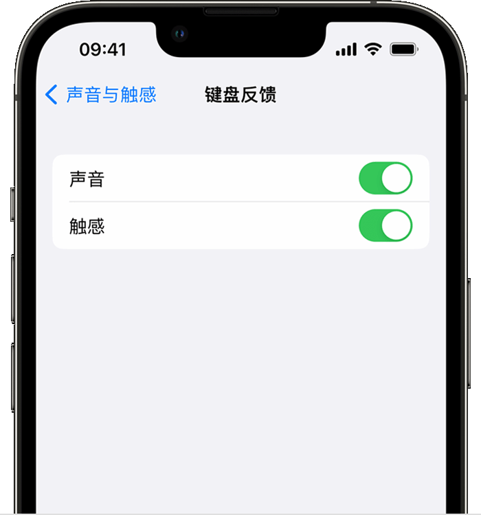 方山苹果14维修店分享如何在 iPhone 14 机型中使用触感键盘 