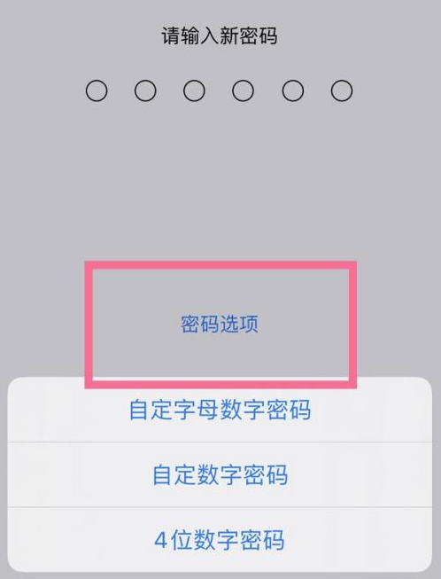 方山苹果14维修分享iPhone 14plus设置密码的方法 