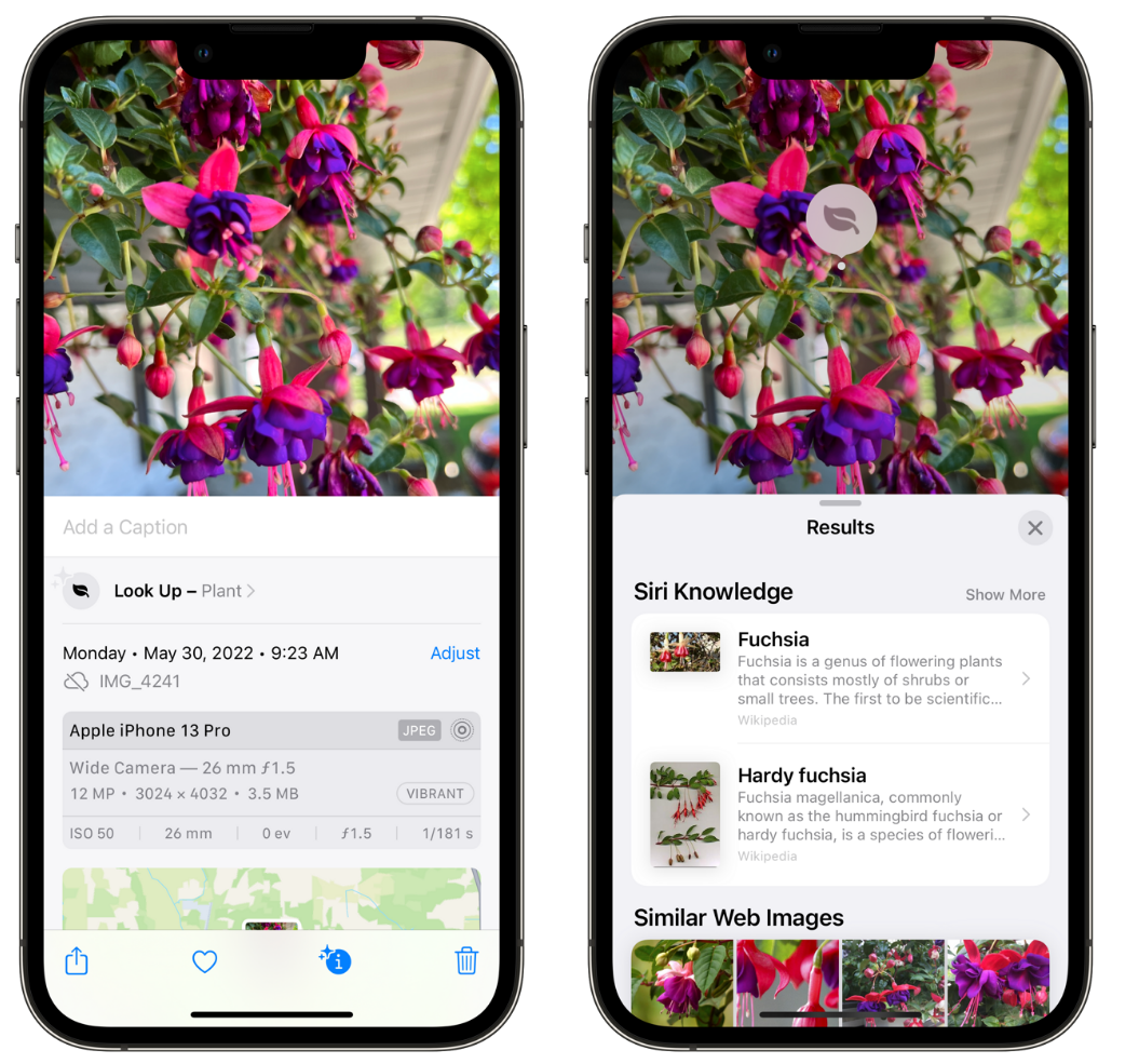 方山苹果手机维修分享小技巧：使用 iPhone 相机识别花卉植物 